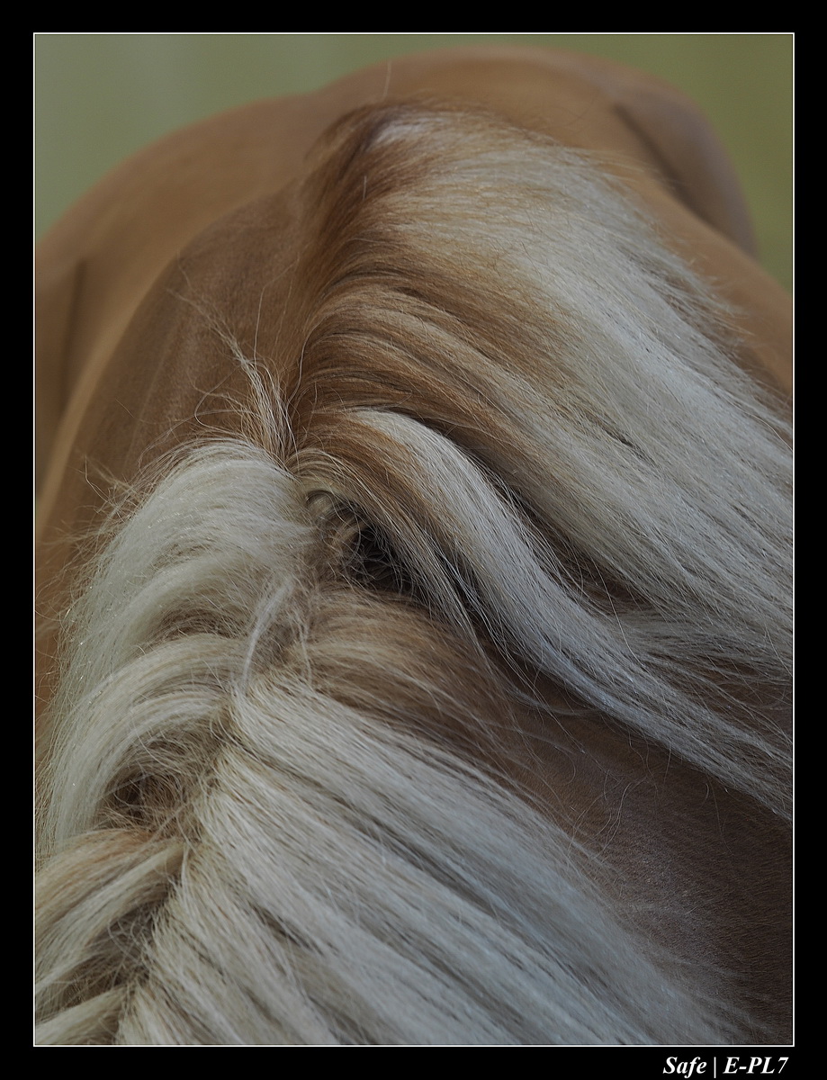 2020 - 02 - Salon agriculture 07